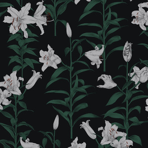 日韩人妻中文无码
